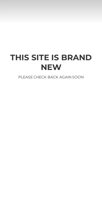 This site is brand new 首页截图