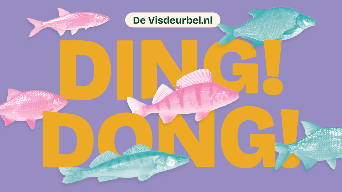Visdeurbel – tot volgend seizoen! | De Visdeurbel · Twitter
