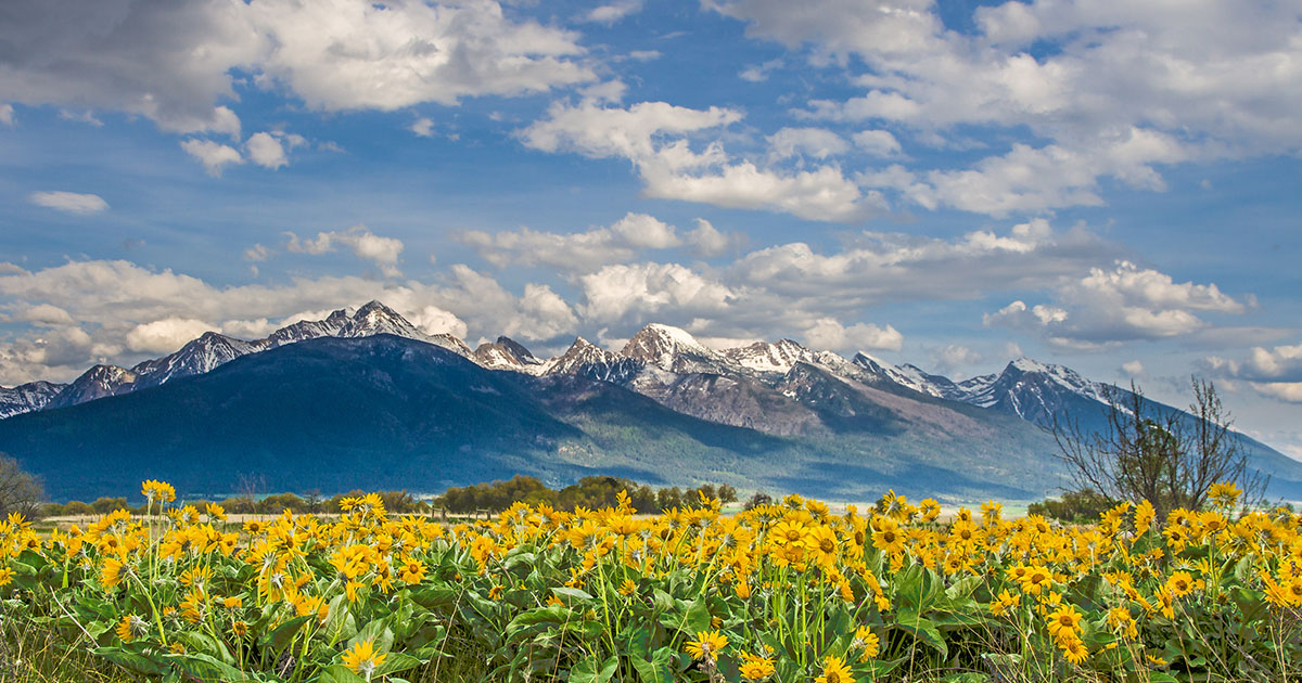 Five Valleys Land Trust · Twitter