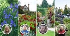 Garden & Landscape Design, Ideas and Tips - Garden Design · Twitter