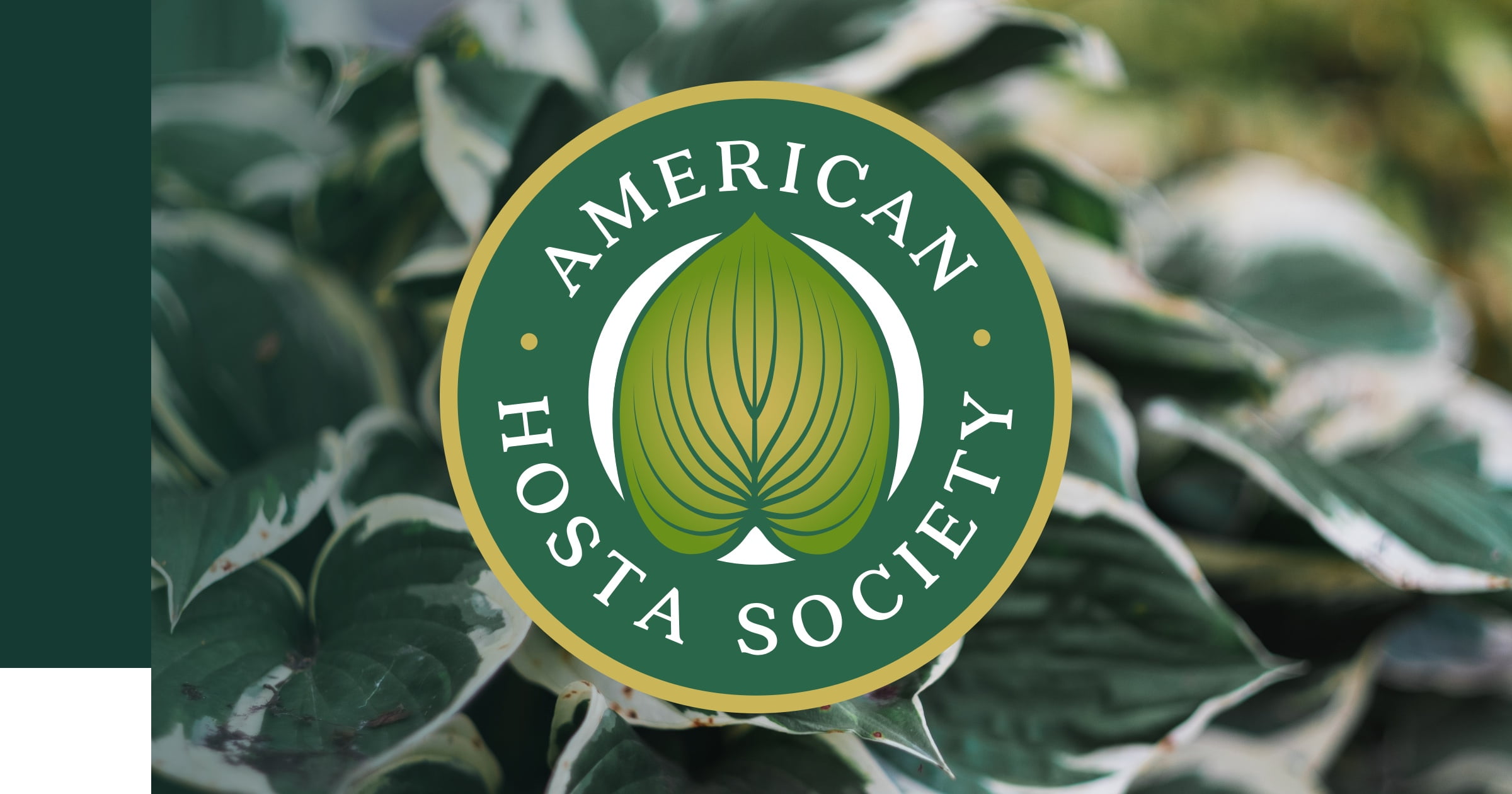 Home | American Hosta Society AHS | Become a Member · Twitter