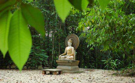 Suan Mokkh · Twitter