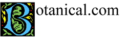 Botanical.com · Twitter