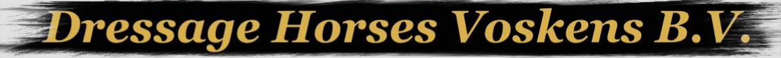 Voskens | Sales Training & Equestrian Centre in Tilburg · Twitter