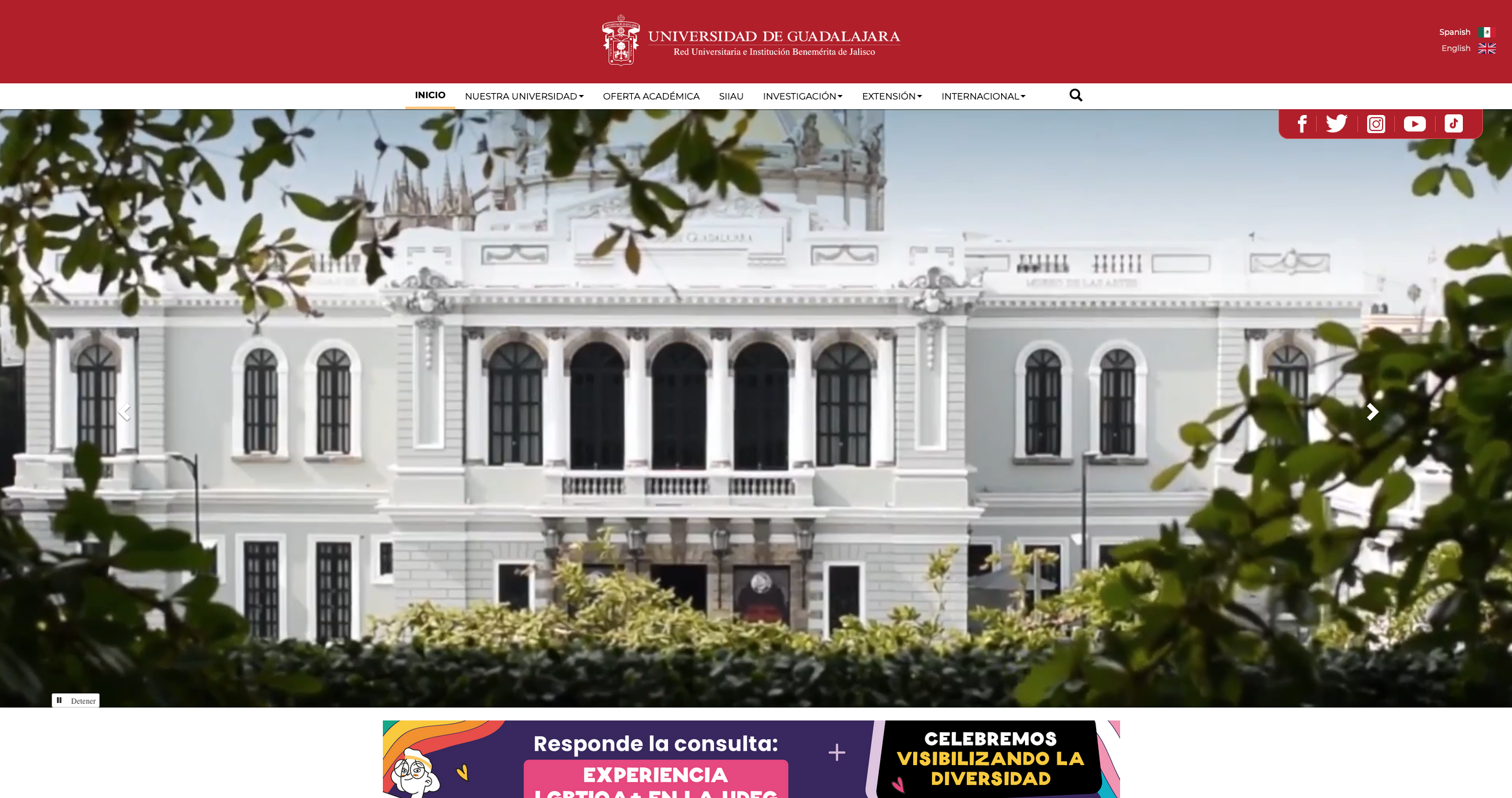Universidad de Guadalajara · Twitter