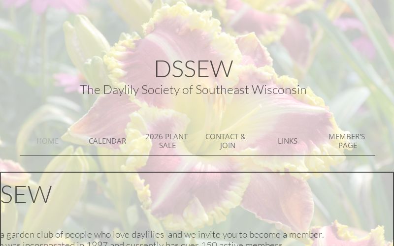 DSSEW · Twitter