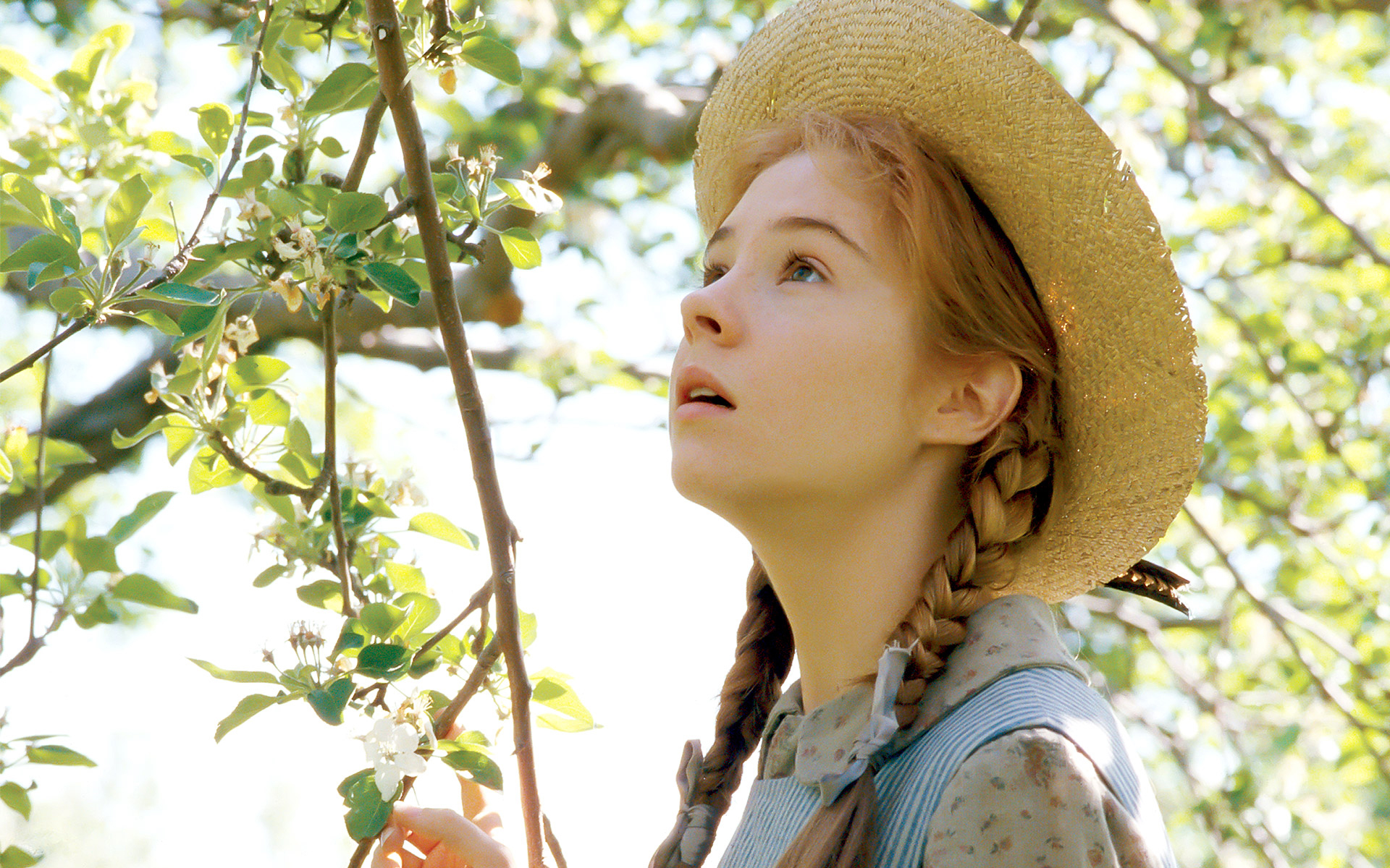 Anne of Green Gables: Official Site for the Original Series · Twitter