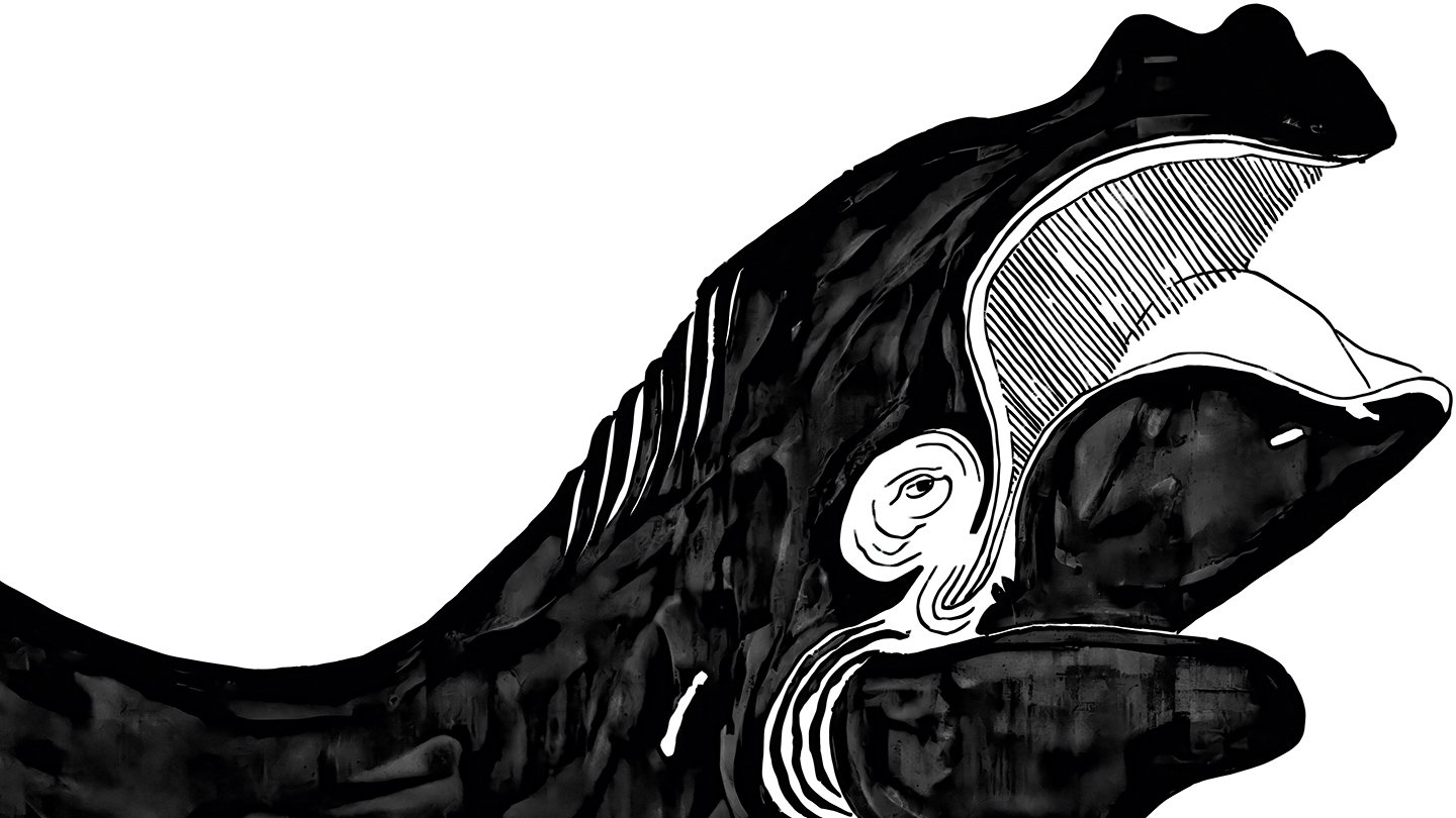 Viennale V'26 | Viennale · Twitter