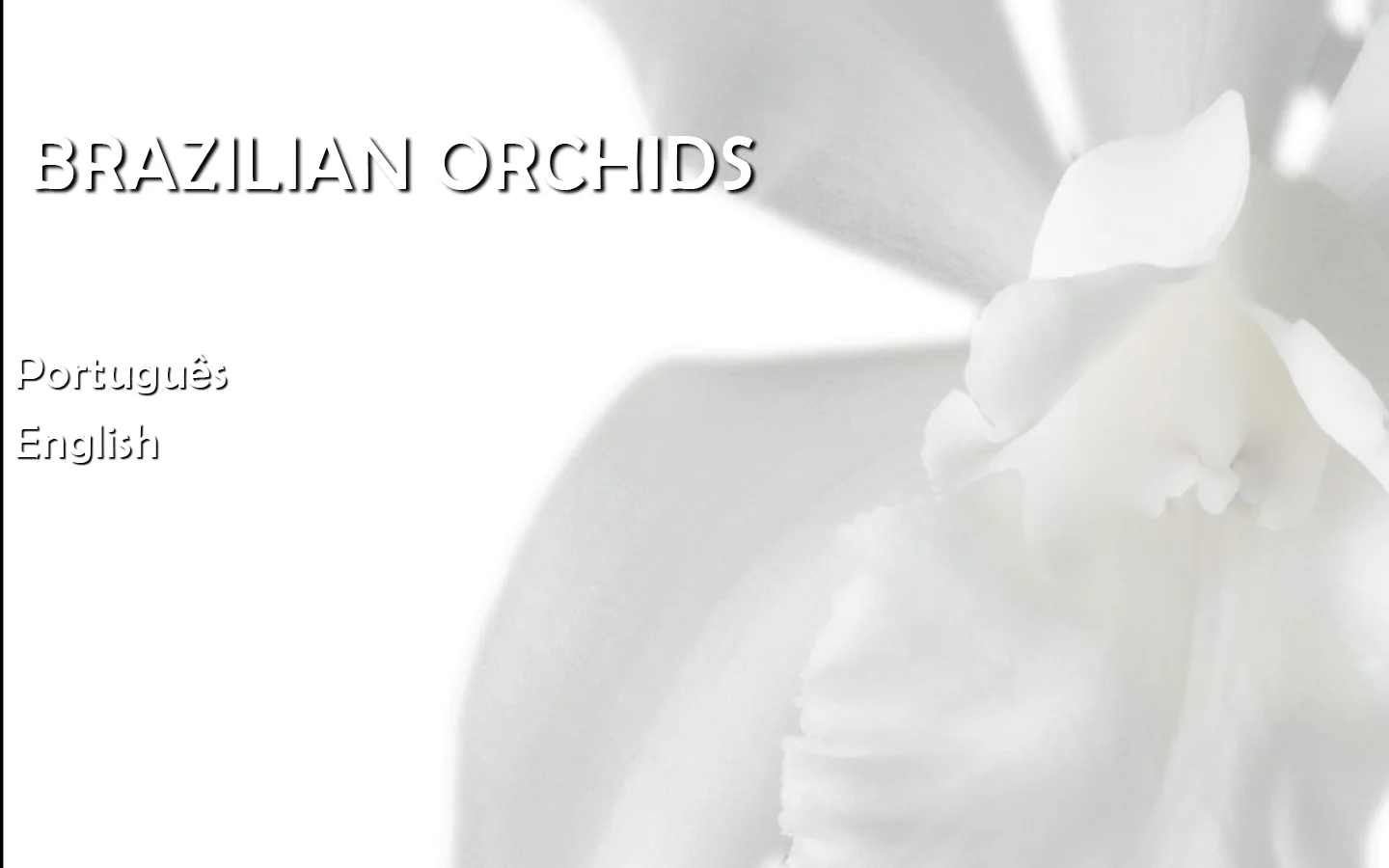 Brazilian Orchids 首页截图