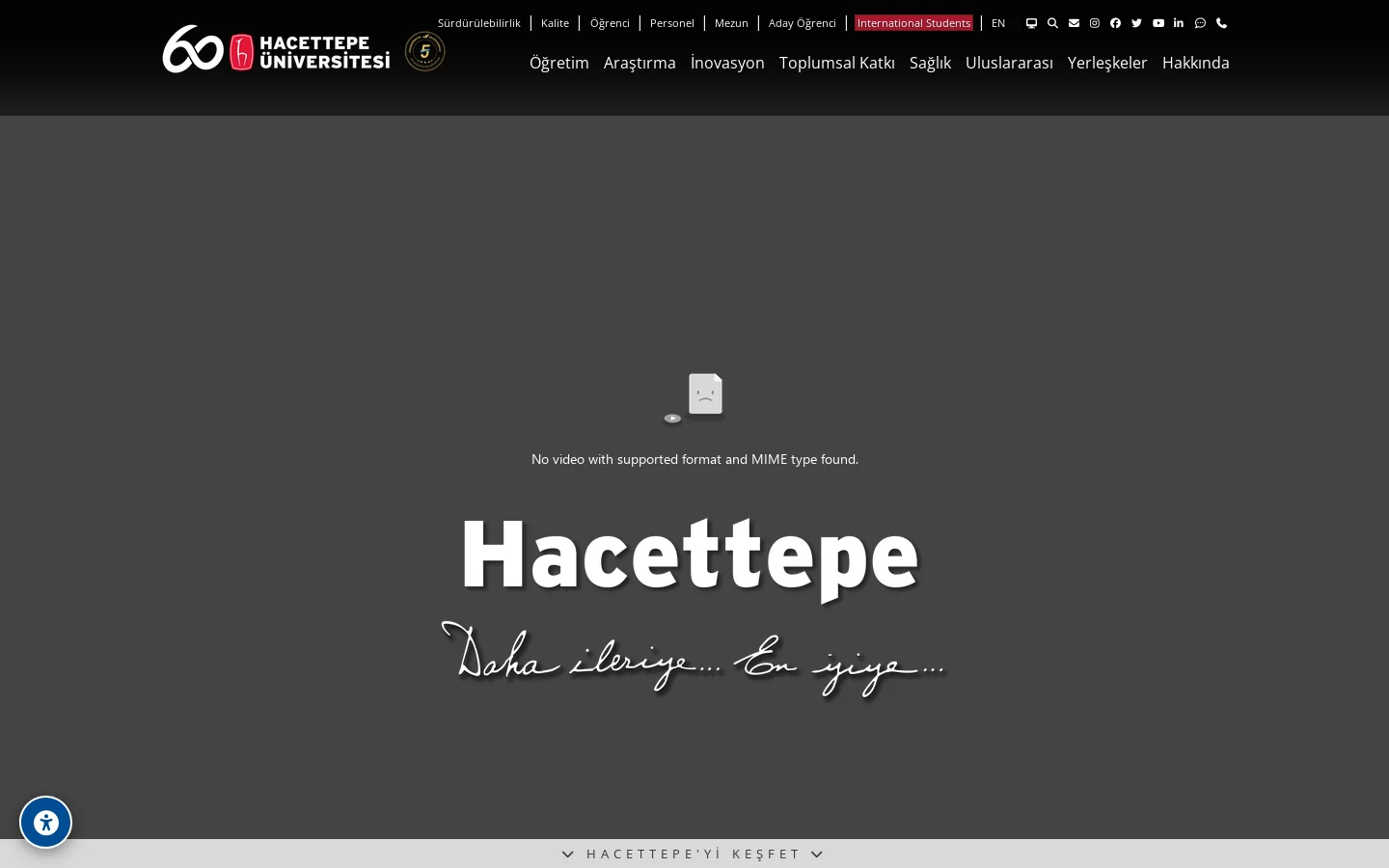 Hacettepe Üniversitesi 首页截图