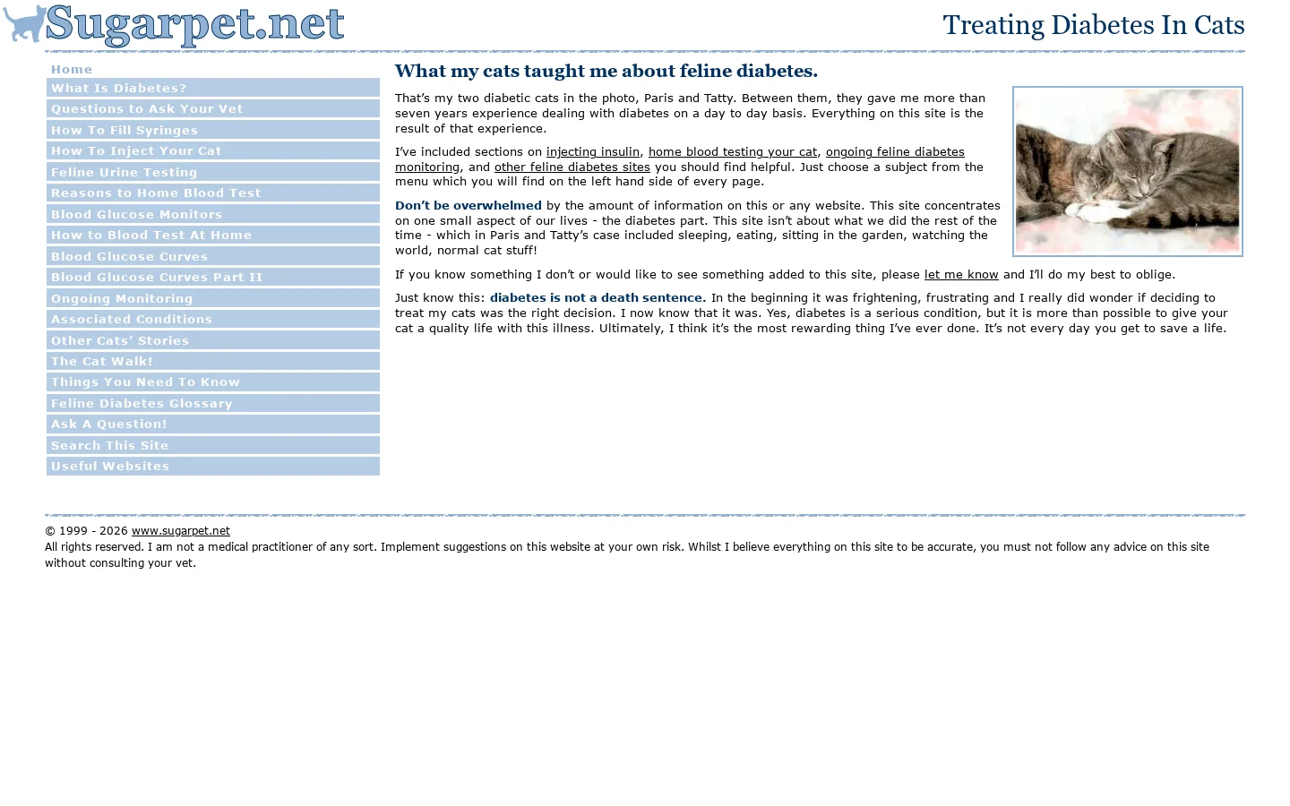 Diabetes in Cats. Home Page and links to other pages. 首页截图
