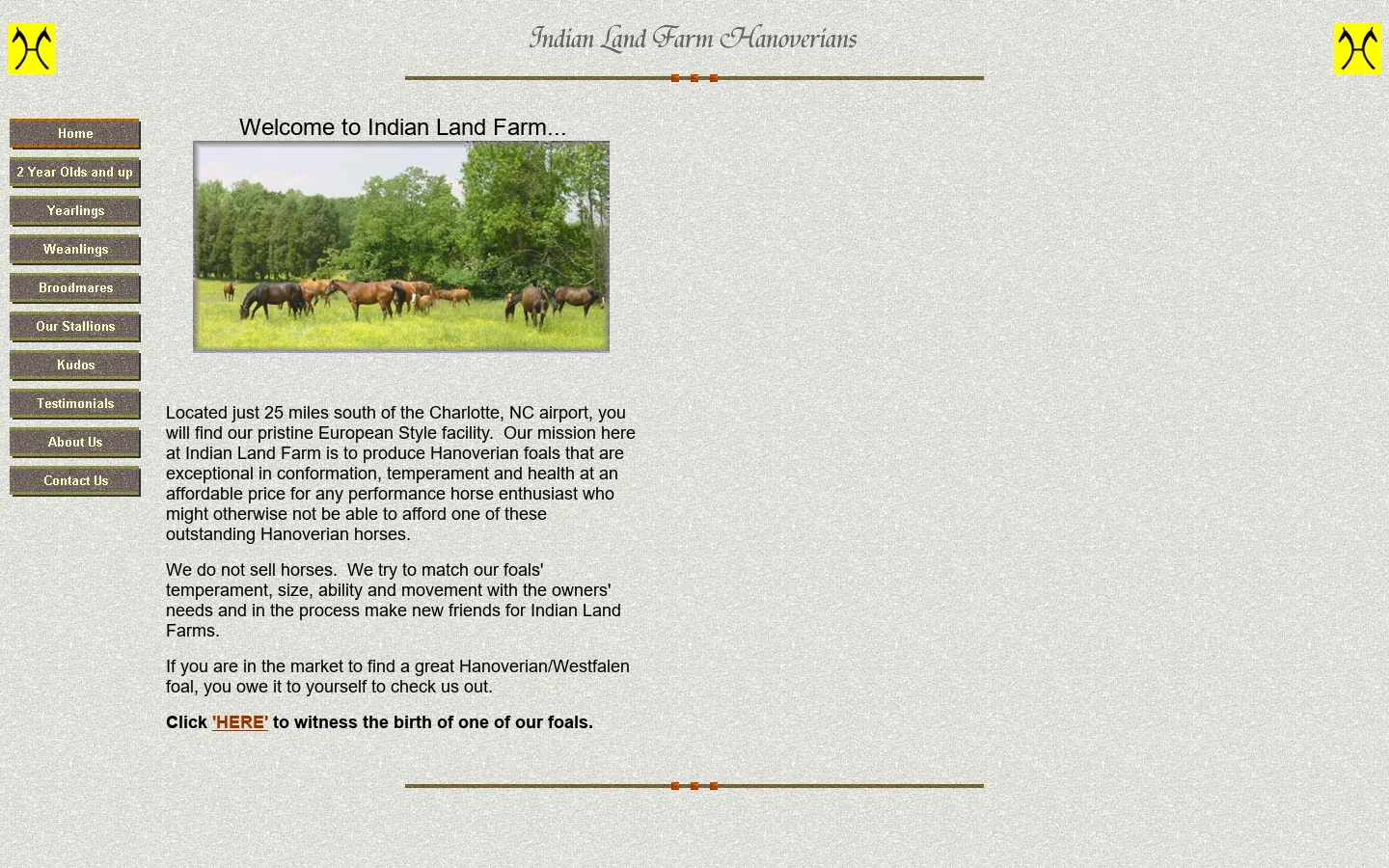 Indian land Farms Hanoverian Horses 首页截图