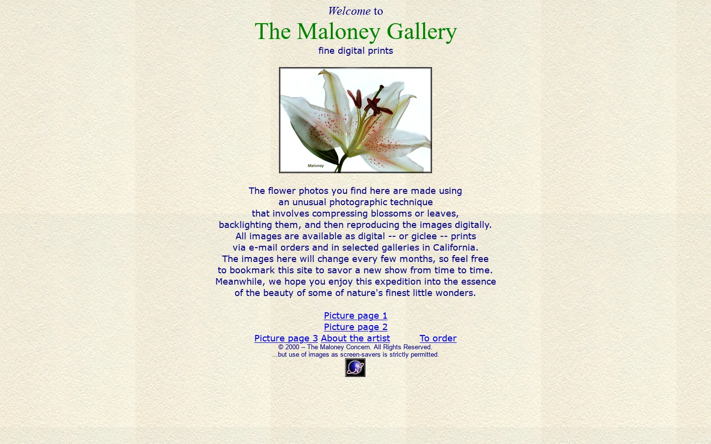 The Maloney Gallery of digital prints -- stop and smell the flowers 首页截图