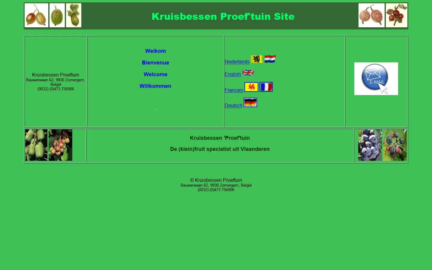 Gooseberry site, kruisbessen site 首页截图