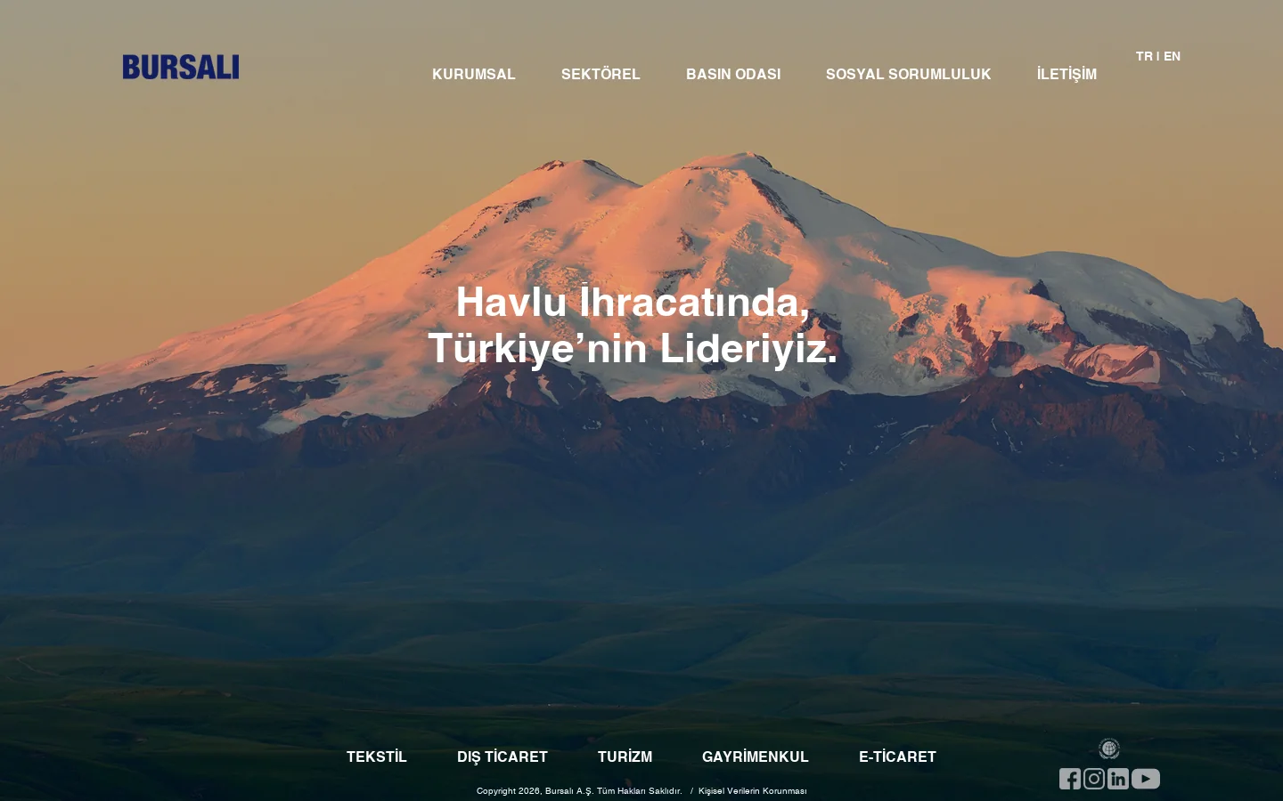Bursalı 首页截图