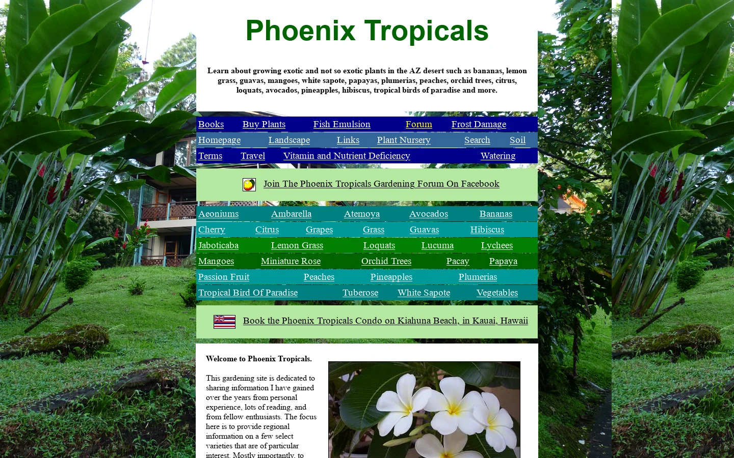 Growing Tropical Flowers and Fruits in the Phoenix Arizona, and California deserts. Plumeria cutting. 首页截图