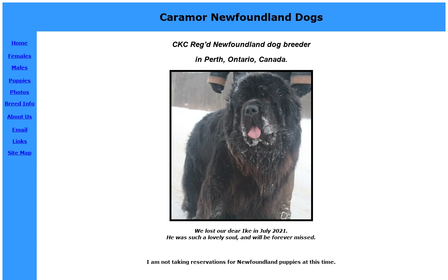Newfoundland dog and puppy breeder located in Perth, Ontario, Canada 首页截图