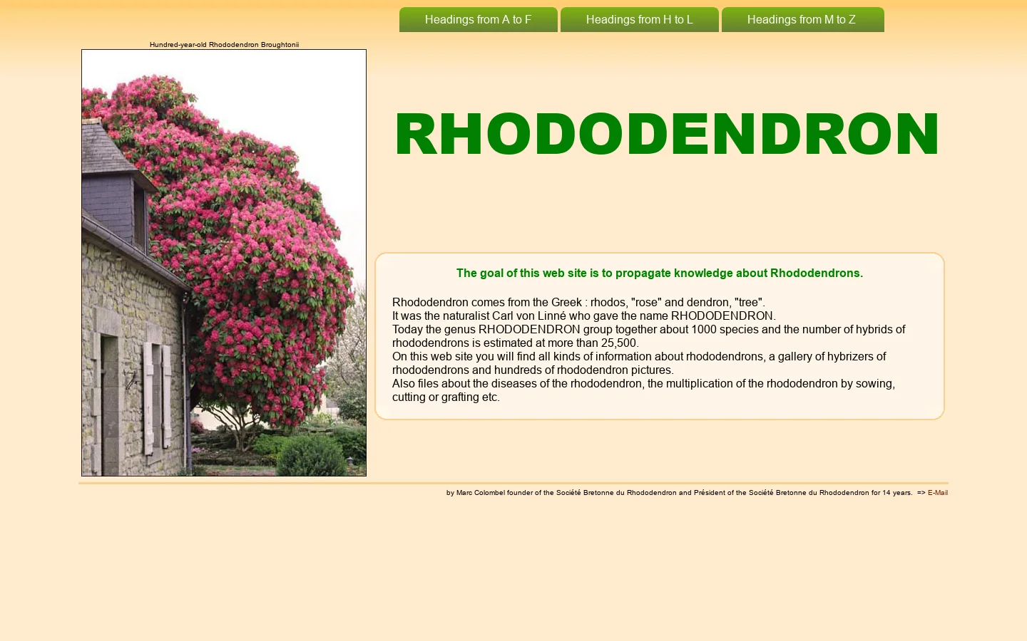 RHODODENDRONS 首页截图