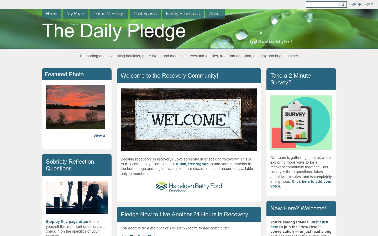 The Daily Pledge 首页截图