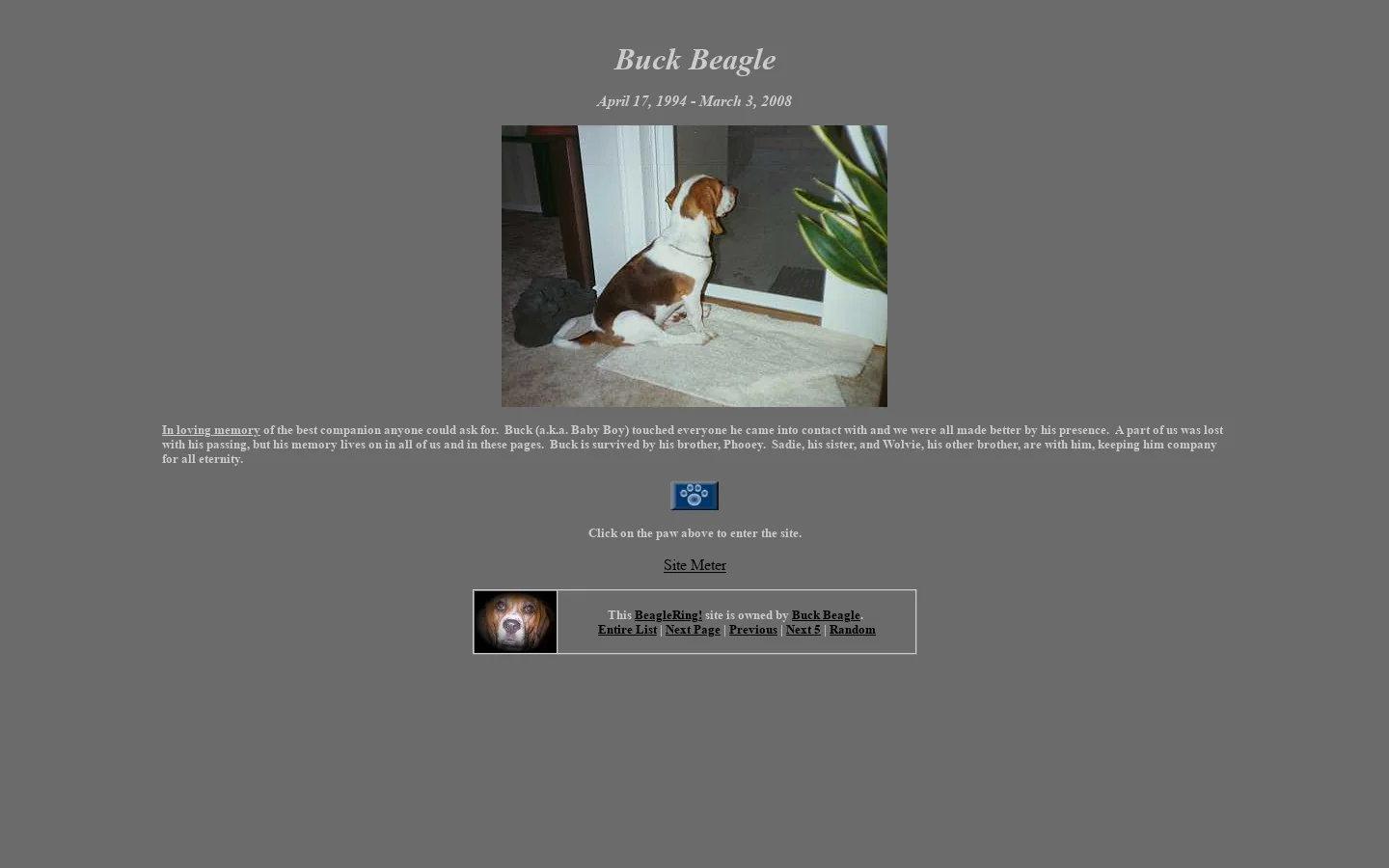 beagle 首页截图