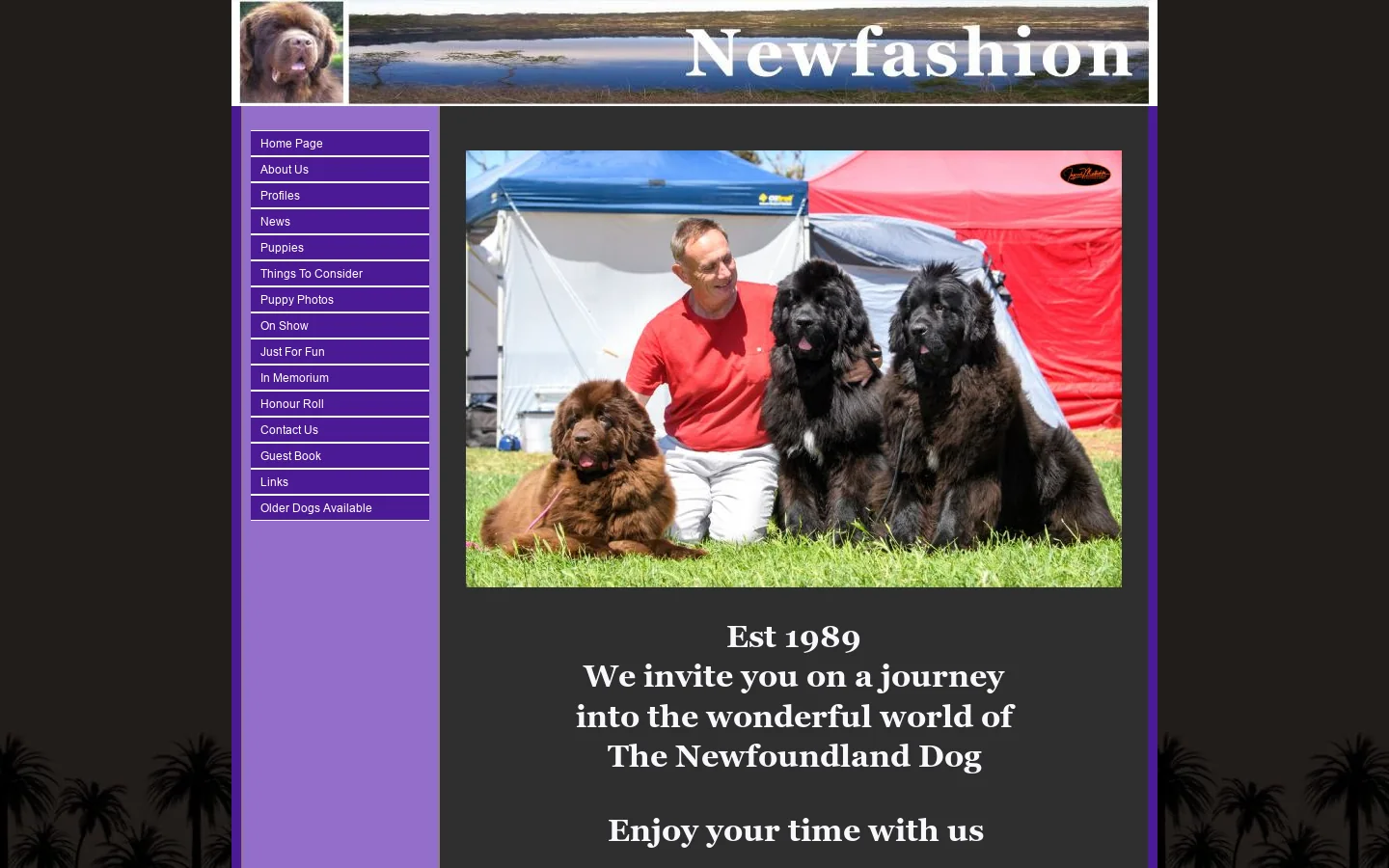 Welcome to NEWFASHION Newfoundlands 首页截图