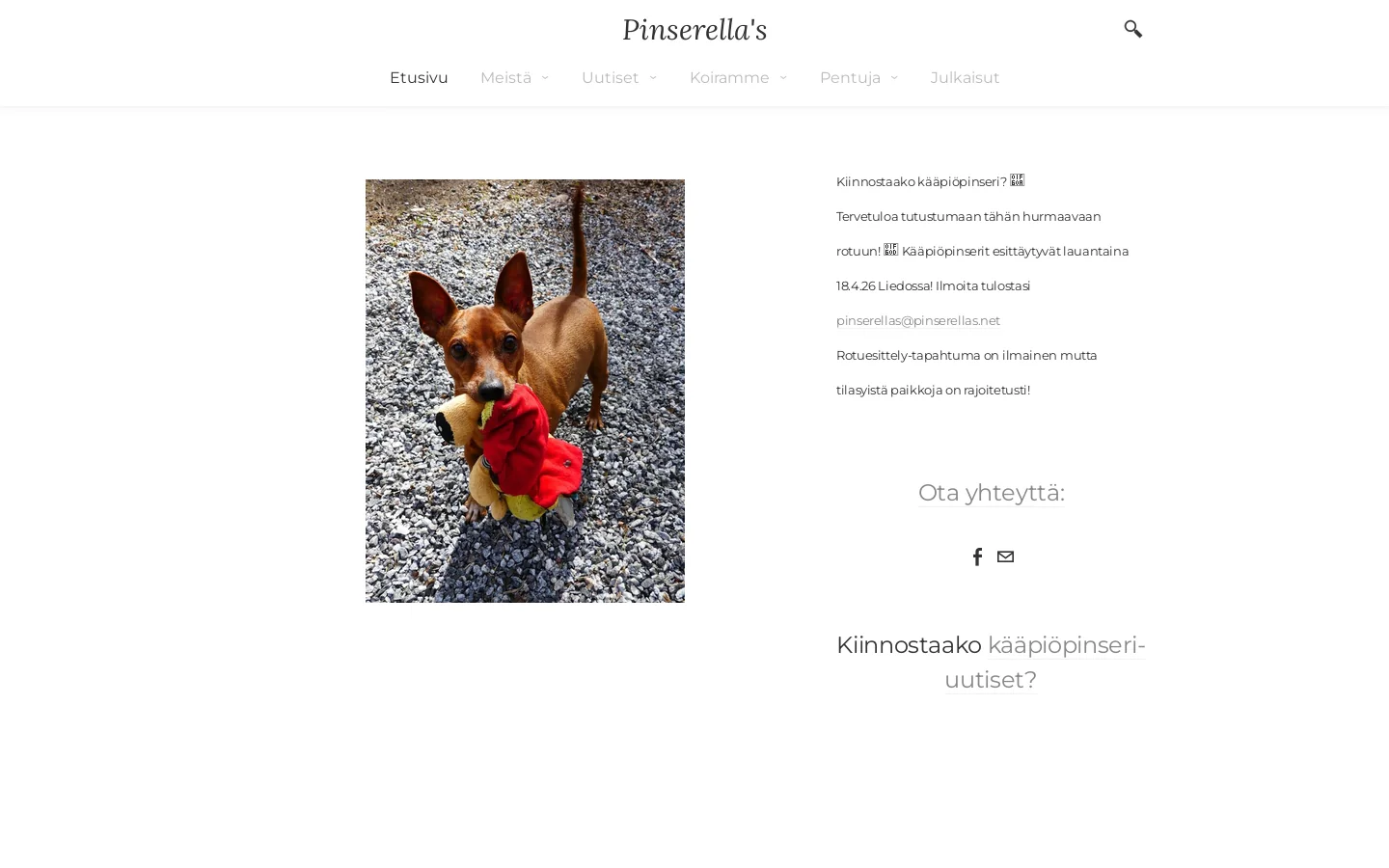 Pinserella's 首页截图