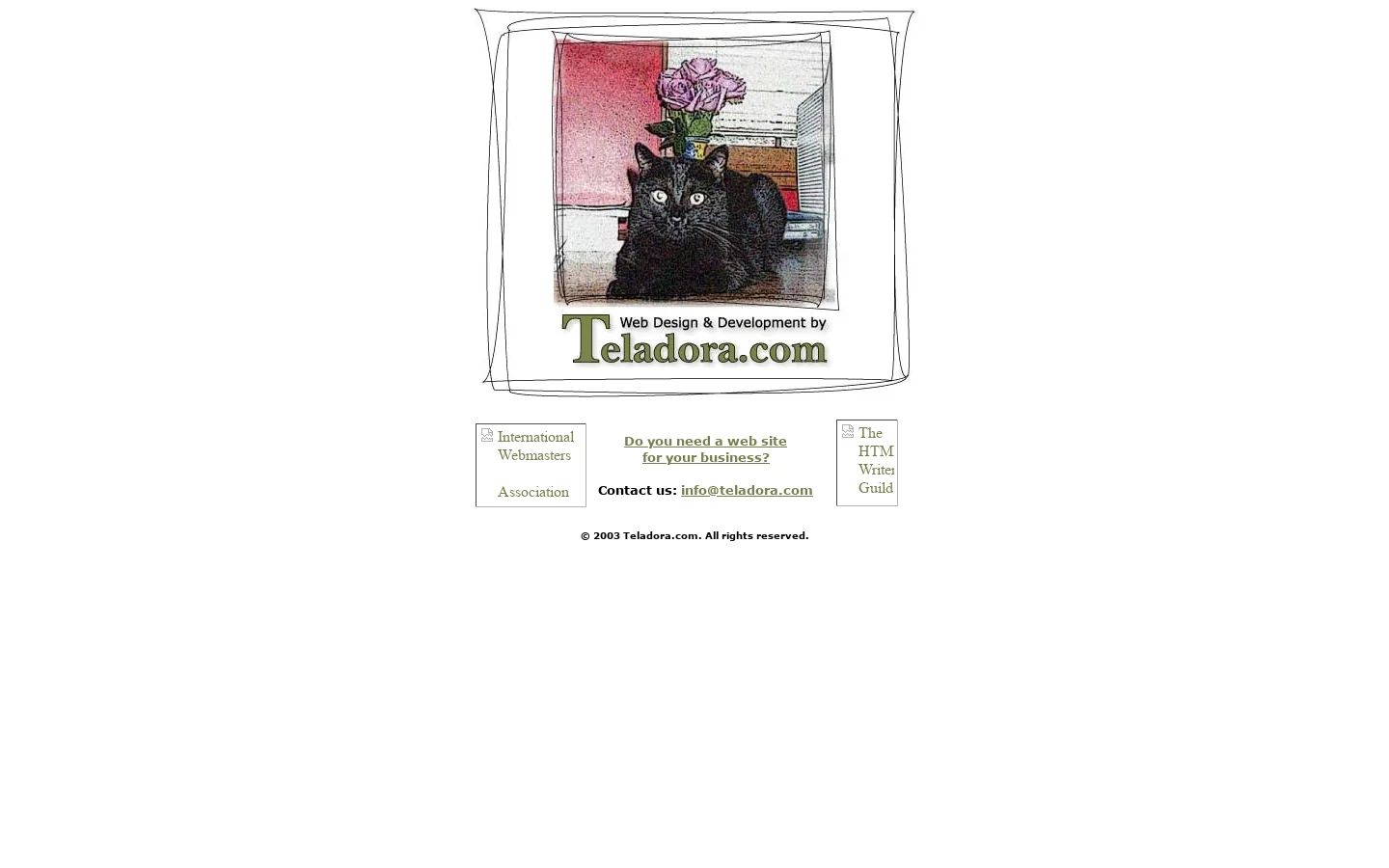 Teladora.com 首页截图