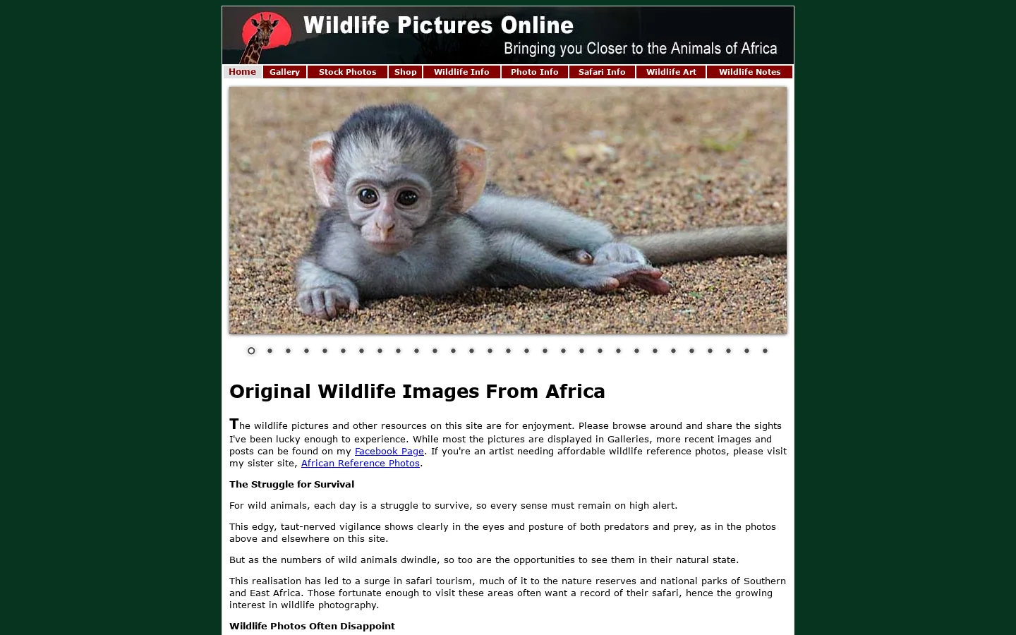 Wildlife Pictures, Wildlife Resources and Photography Tips 首页截图