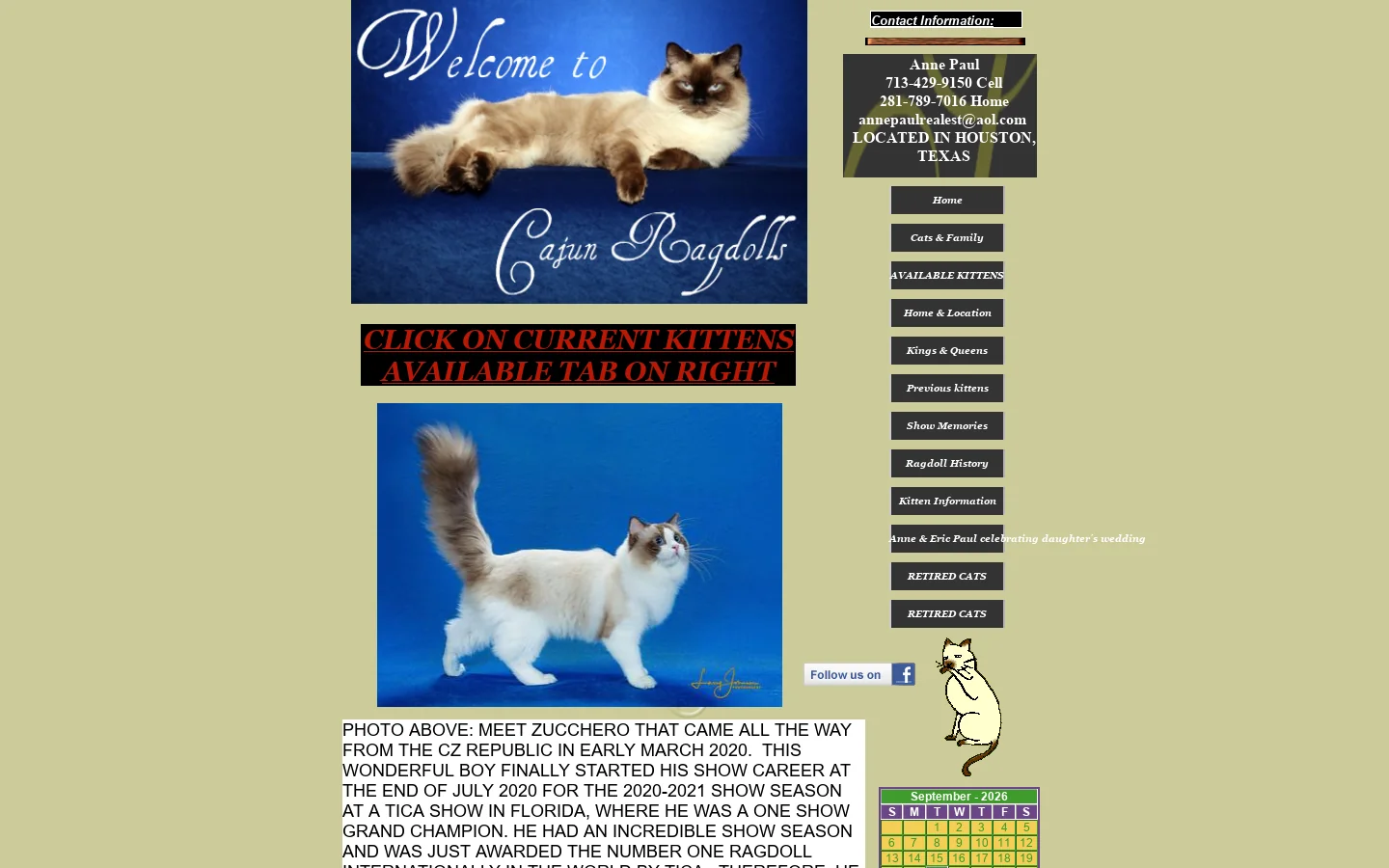 CAJUN RAGDOLLS KITTENS HOUSTON TEXAS 首页截图