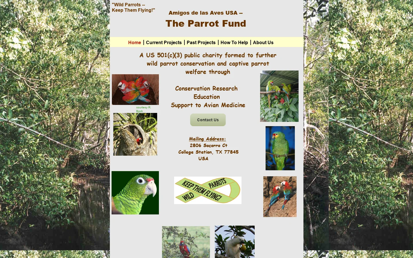 The Parrot Fund (Amigos de las Aves USA Parrot Conservation and Research Fund: www).Amigosdelasaves.org or www.parrotfund.org 首页截图