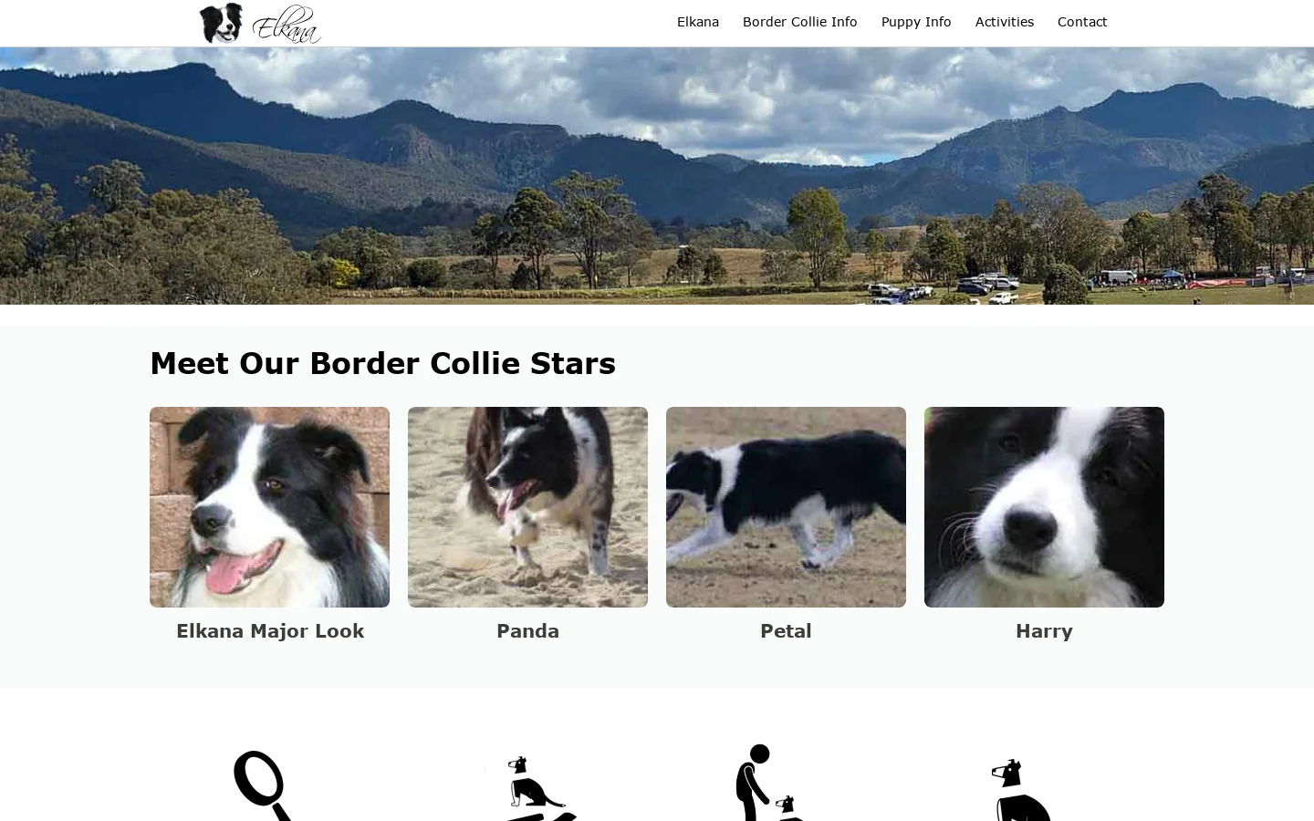 Elkana Border Collie's 首页截图
