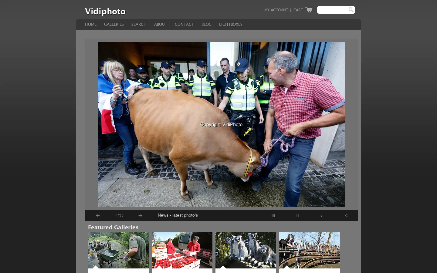 Vidiphoto 首页截图