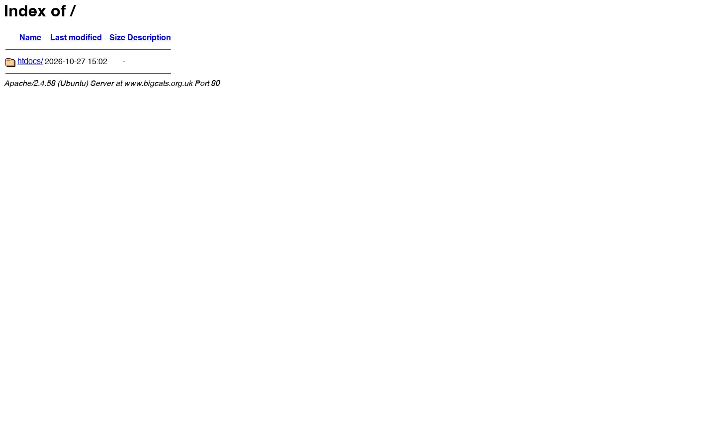 Index of / 首页截图