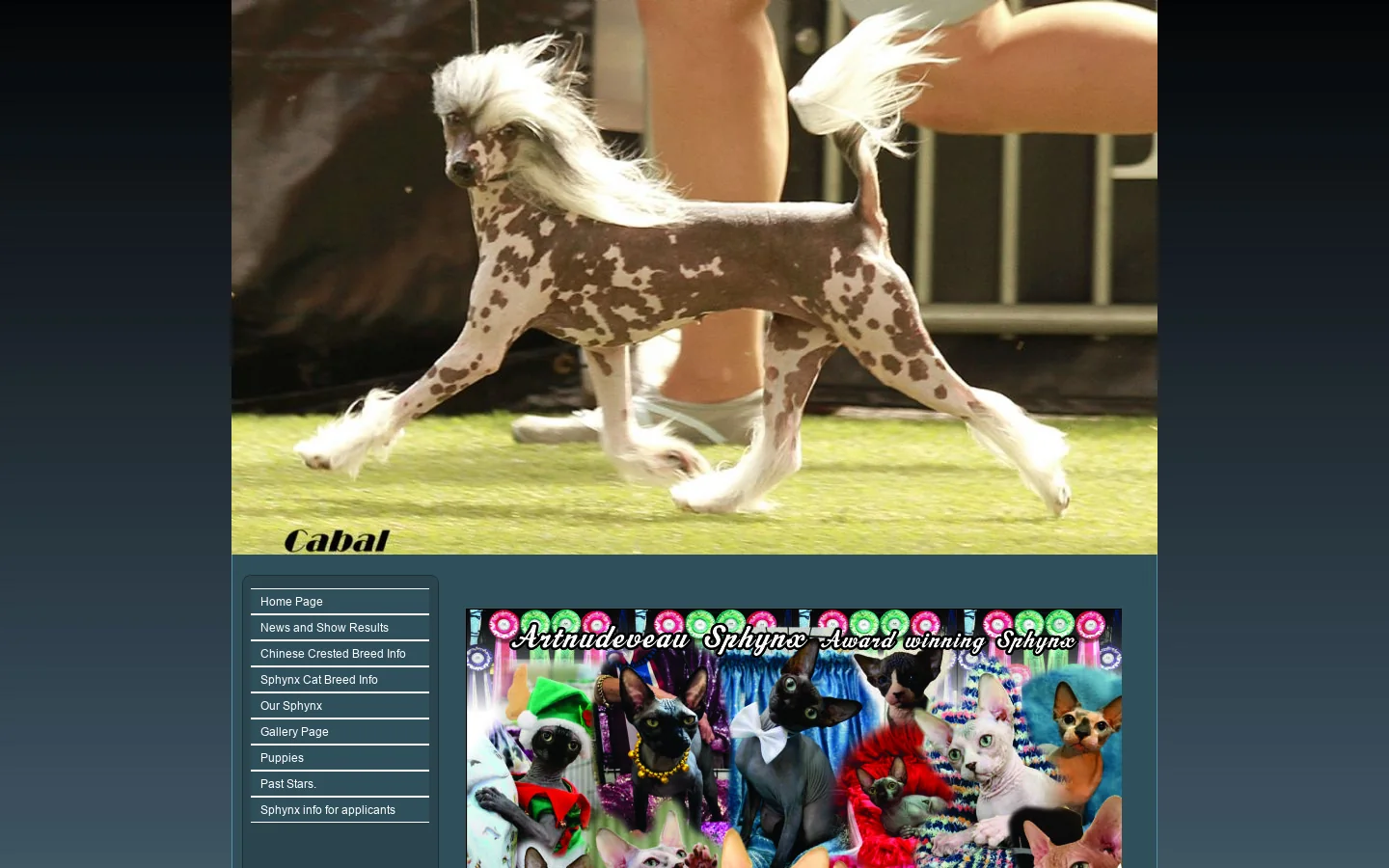 MOHAWK CHINESE CRESTED DOGS. 首页截图