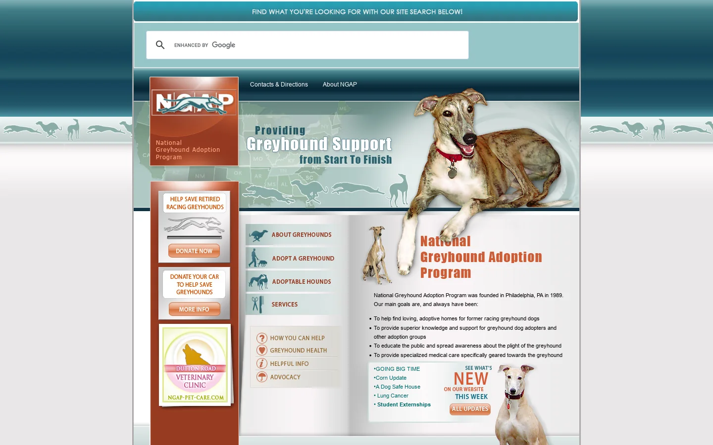 National Greyhound Adoption Program NGAP Greyhound Rescue greyhound dog adoption adopt greyhound pet 首页截图