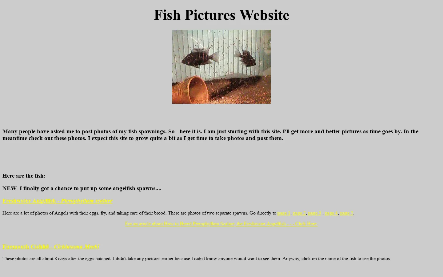 Fish Pictures Homepage 首页截图
