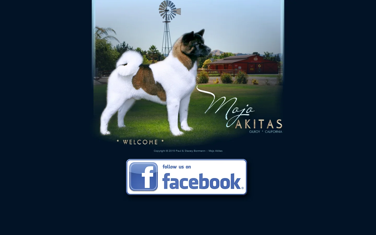 Top quality AKC akitas and puppies in california 首页截图