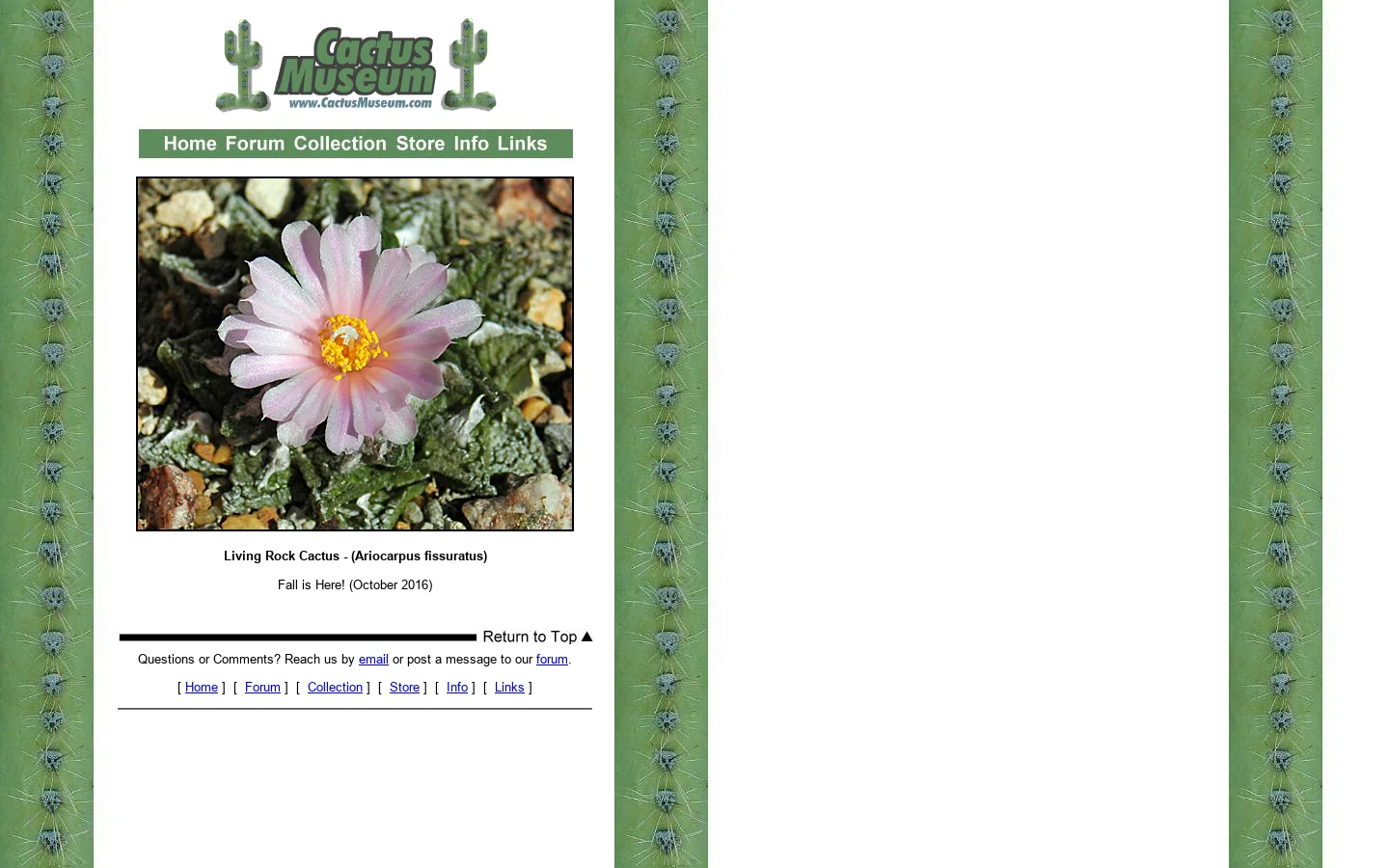 CactusMuseum.com 首页截图