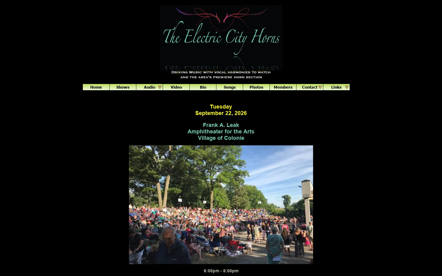 The Electric City Horns - Rock and Roll Band with Horns 首页截图