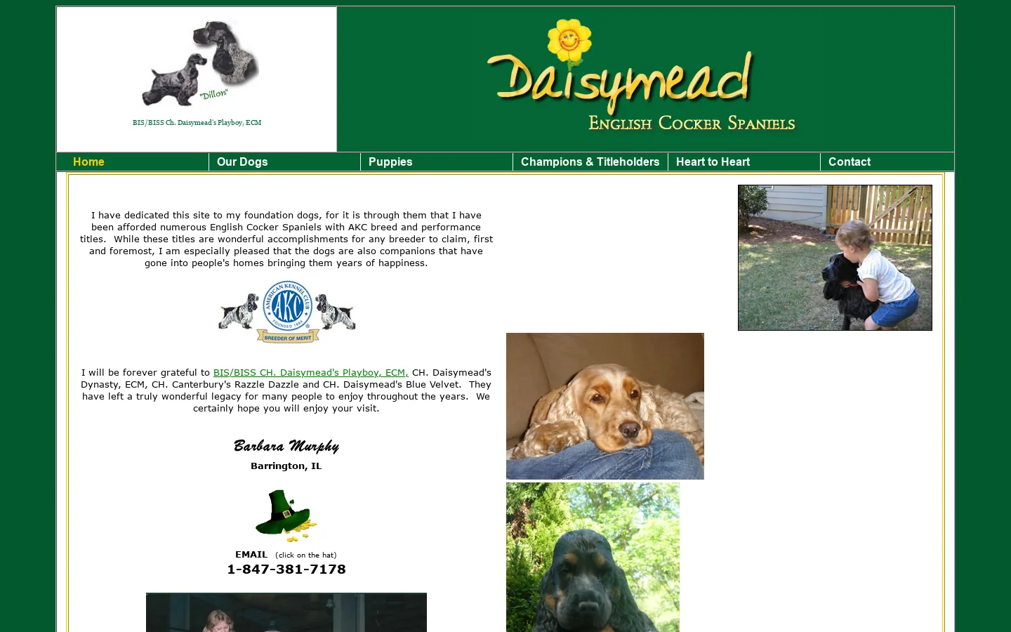 Daisymead English Cocker Spaniels 首页截图