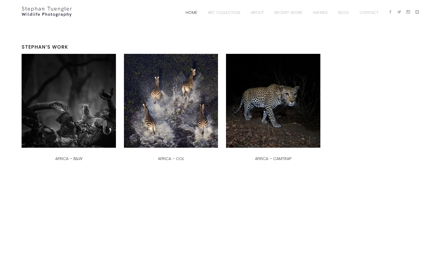 Stephan Tuengler Wildlife Photography | Stephan is a Wildlife Photographer focused on Africa and India 首页截图