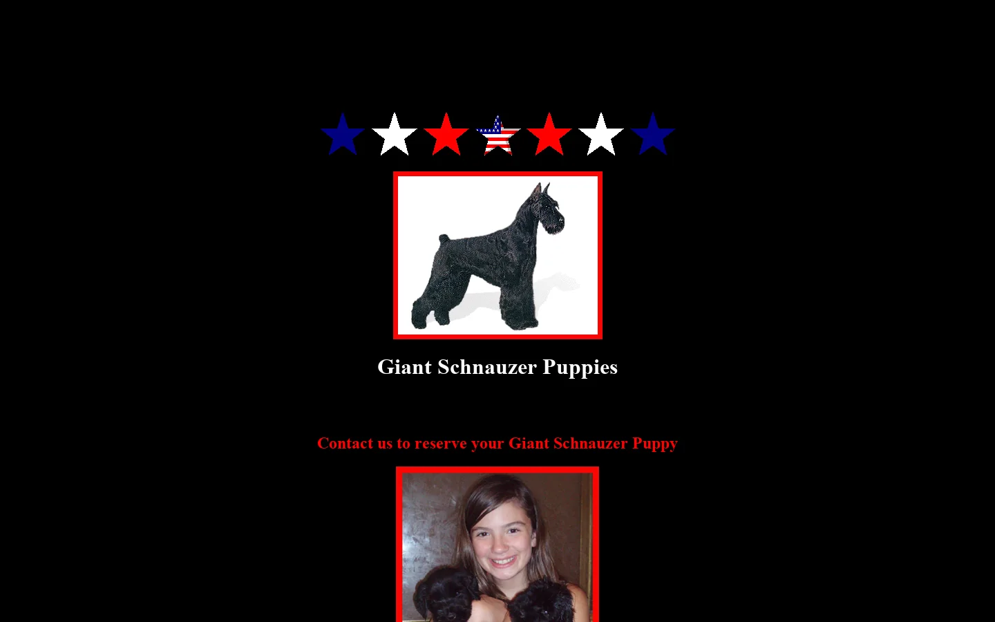 AzzumA Giant Schnauzers and Giant Schnauzer Puppies 首页截图