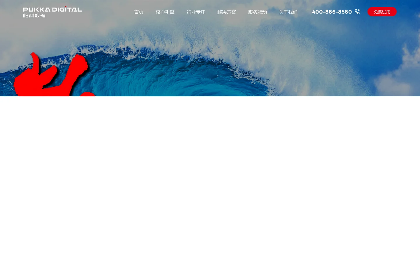 上海帕科信息科技有限公司 首页截图