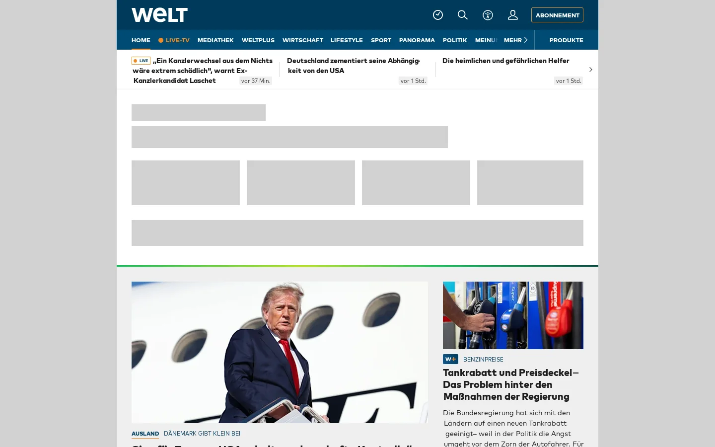 WELT 首页截图
