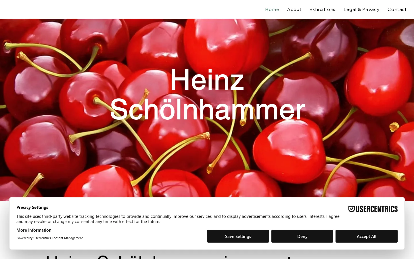 Heinz Schoelnhammer | Paintings, Art & Creative Portfolio 首页截图