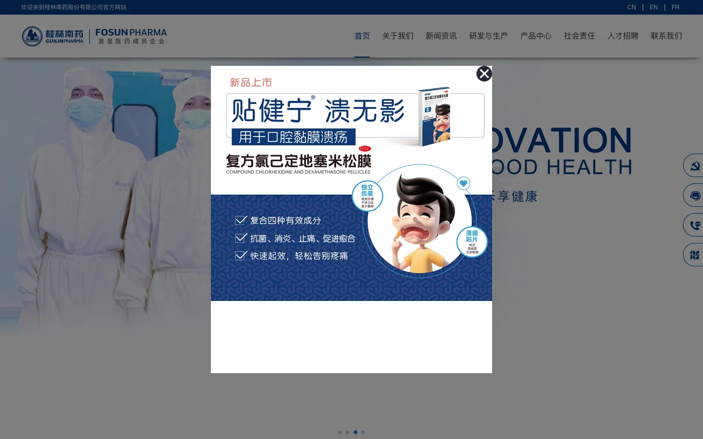 桂林南药股份有限公司 首页截图
