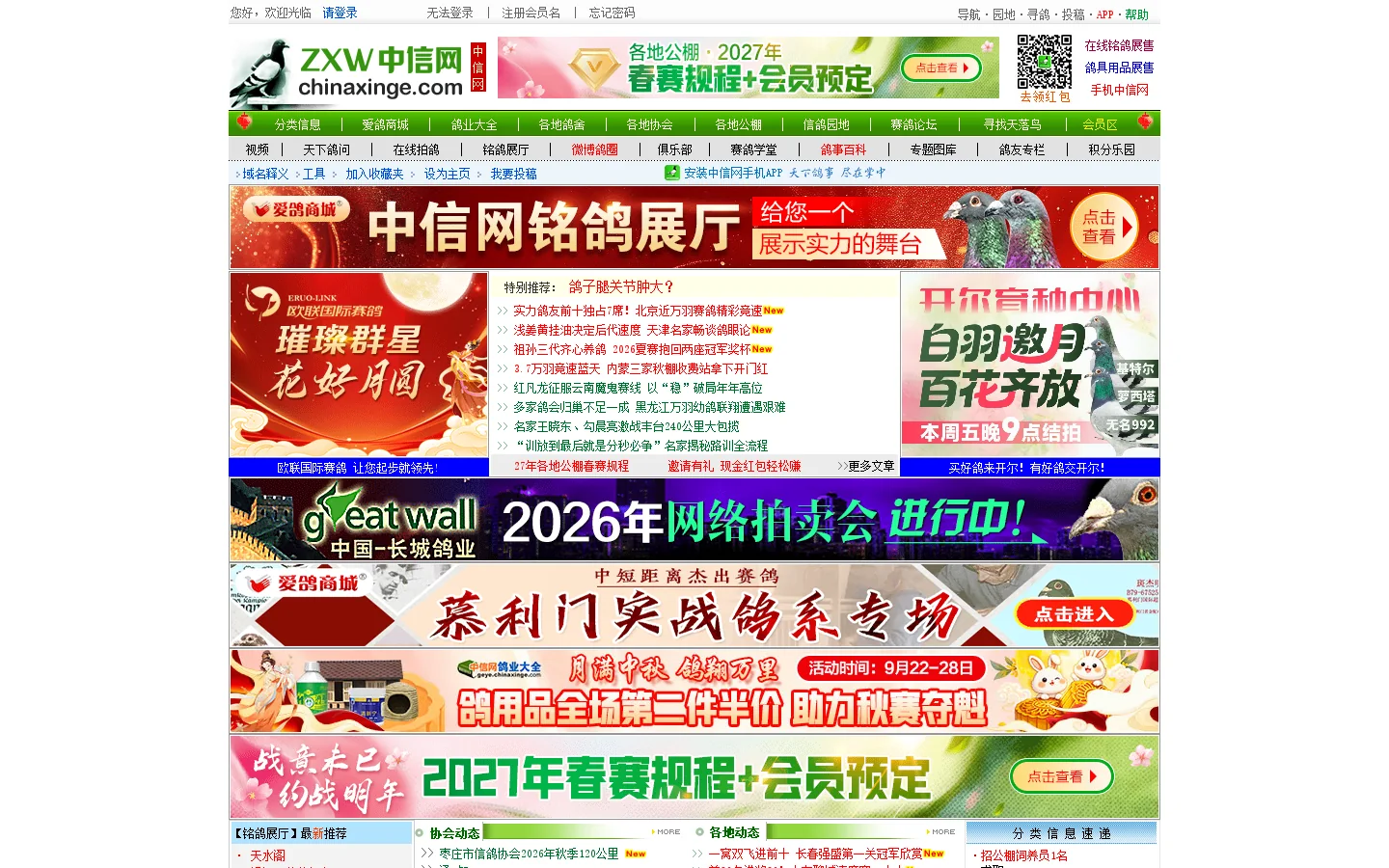 中信网-信鸽信息网 首页截图