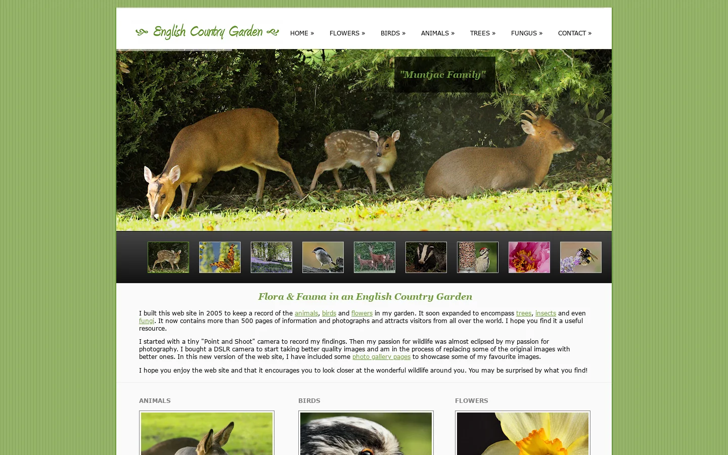 A catalogue of English birds, animals, flowers and trees found in an English Country Garden. 首页截图