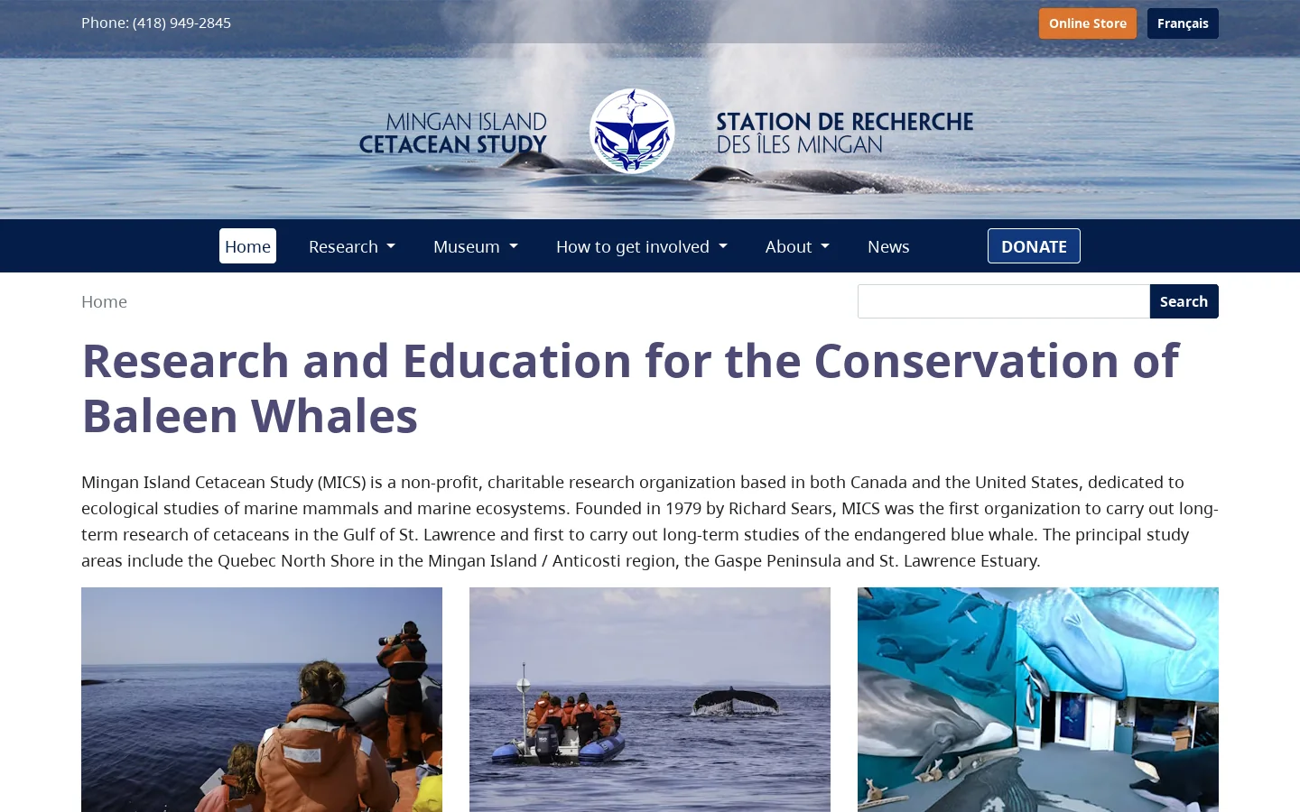 en — Mingan Island Cetacean Study 首页截图