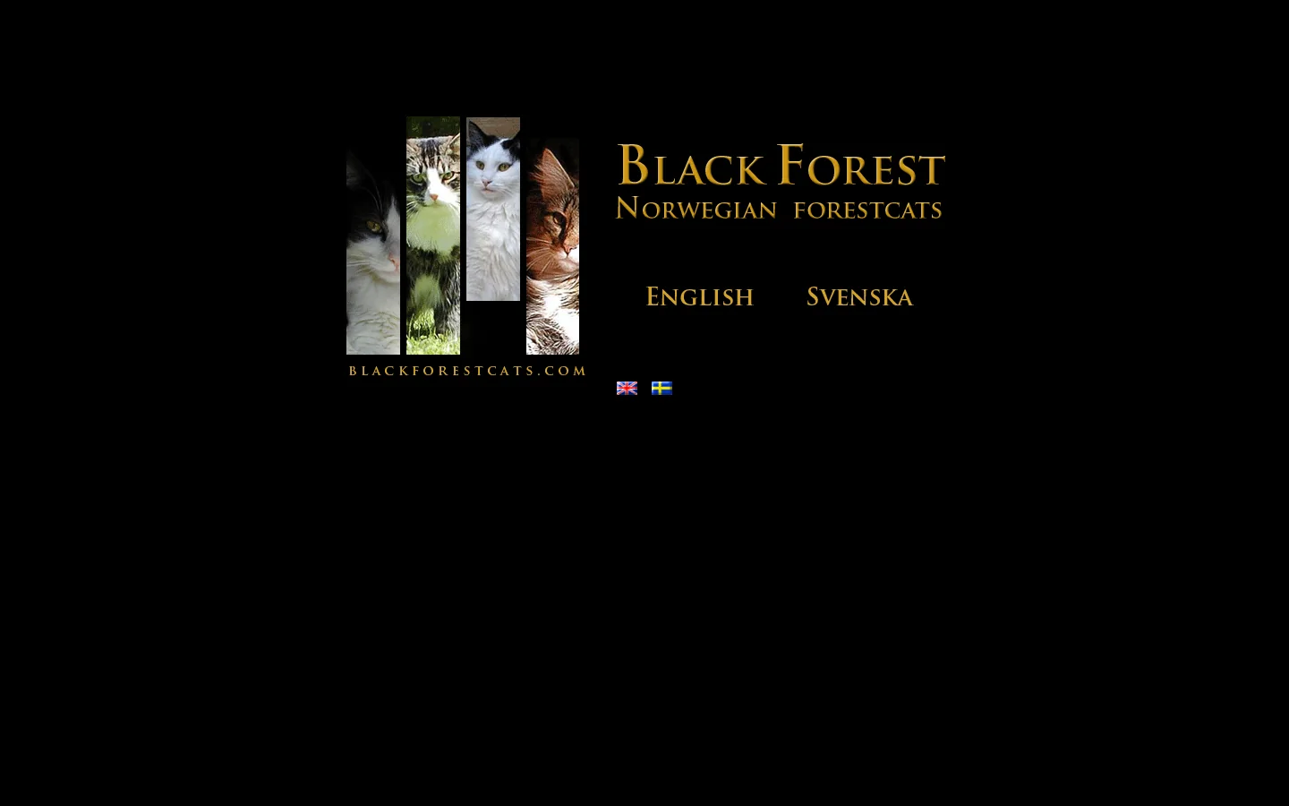 Black Forest - NFO 首页截图